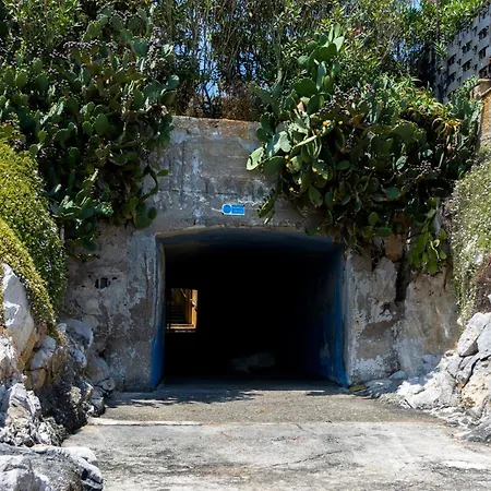 Ashur Mondello Palermo